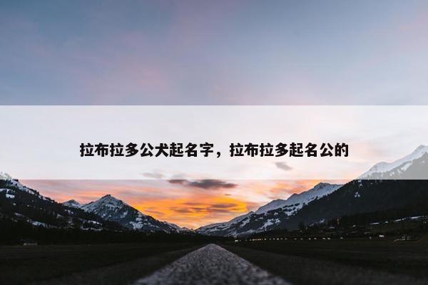 拉布拉多公犬起名字，拉布拉多起名公的