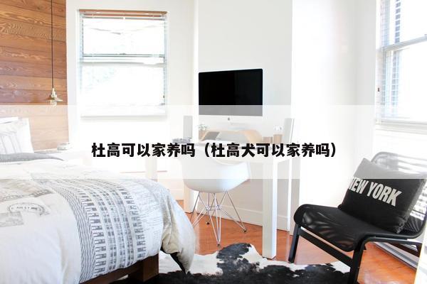 杜高可以家养吗（杜高犬可以家养吗）