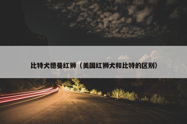 比特犬德曼红狮（美国红狮犬和比特的区别）