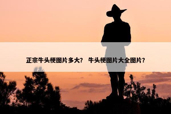 正宗牛头梗图片多大？ 牛头梗图片大全图片？