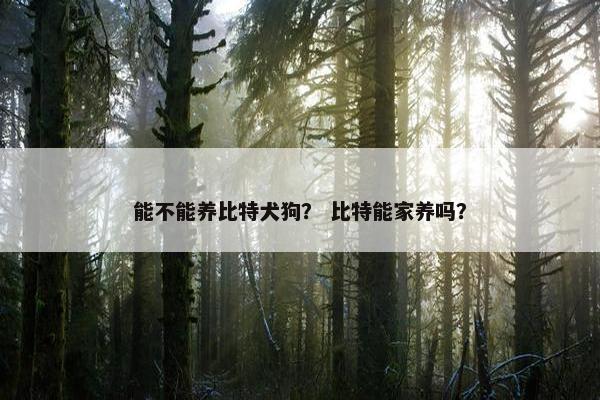 能不能养比特犬狗？ 比特能家养吗？