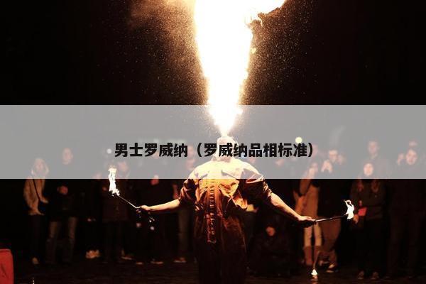 男士罗威纳（罗威纳品相标准）
