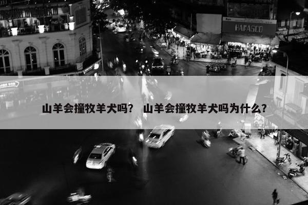 山羊会撞牧羊犬吗？ 山羊会撞牧羊犬吗为什么？
