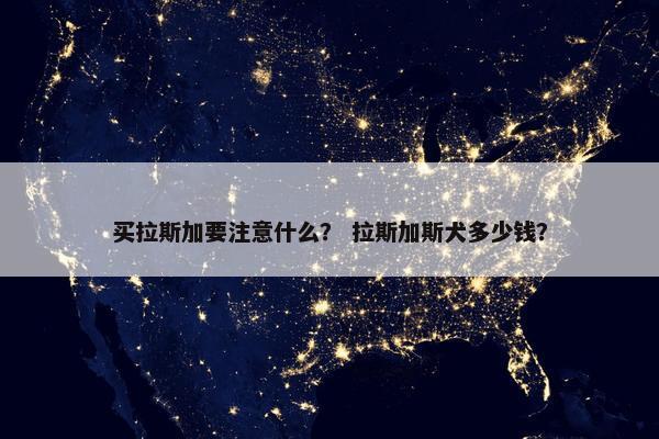 买拉斯加要注意什么？ 拉斯加斯犬多少钱？