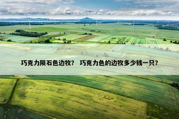 巧克力陨石色边牧？ 巧克力色的边牧多少钱一只？