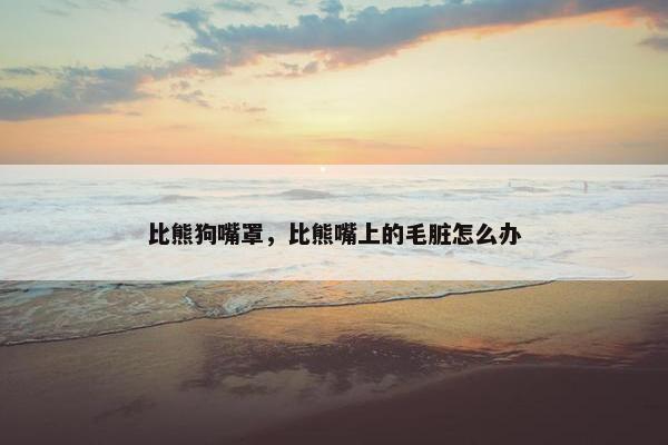比熊狗嘴罩，比熊嘴上的毛脏怎么办