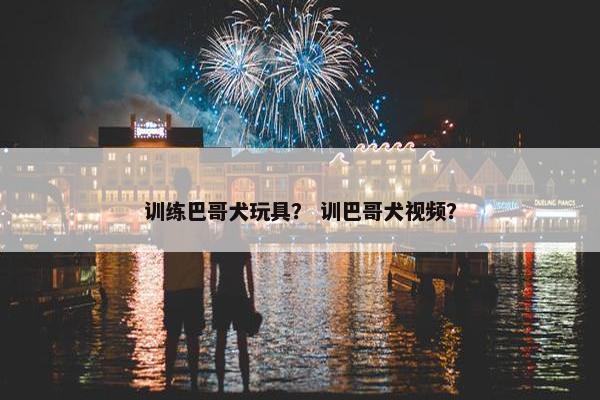 训练巴哥犬玩具？ 训巴哥犬视频？