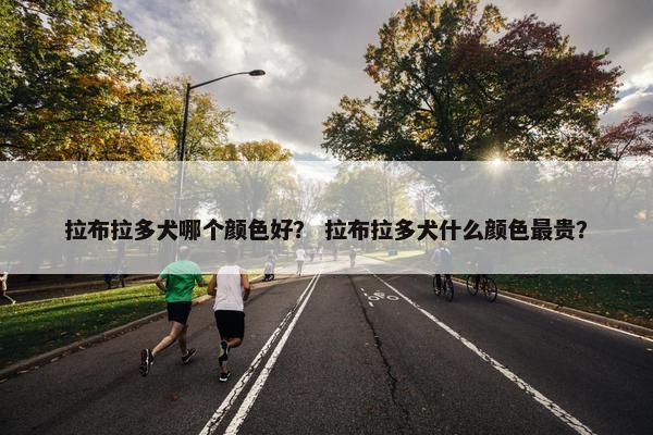 拉布拉多犬哪个颜色好？ 拉布拉多犬什么颜色最贵？