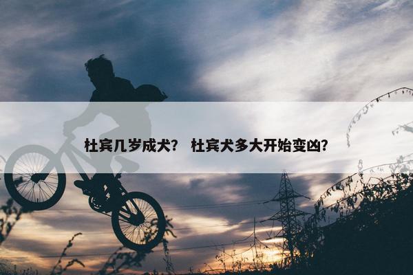 杜宾几岁成犬？ 杜宾犬多大开始变凶？