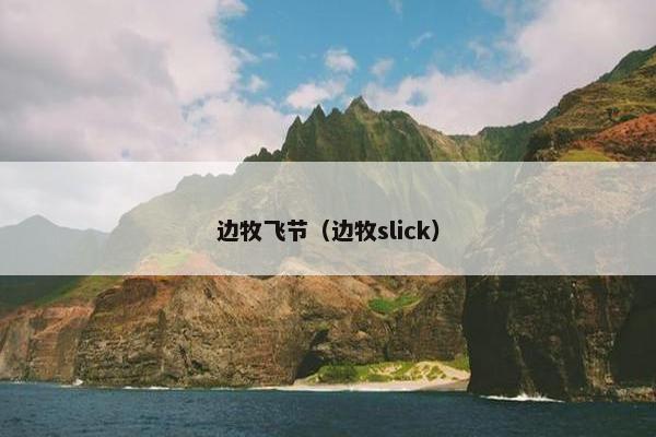 边牧飞节（边牧slick）
