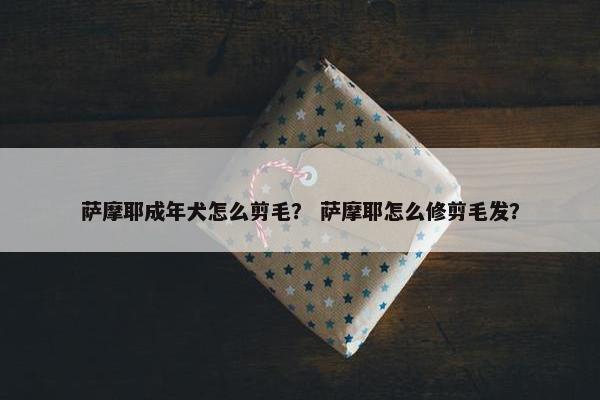 萨摩耶成年犬怎么剪毛？ 萨摩耶怎么修剪毛发？