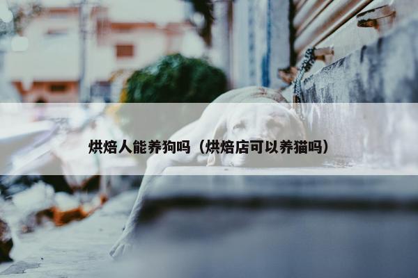 烘焙人能养狗吗（烘焙店可以养猫吗）