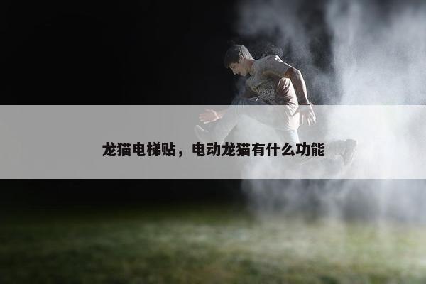龙猫电梯贴，电动龙猫有什么功能