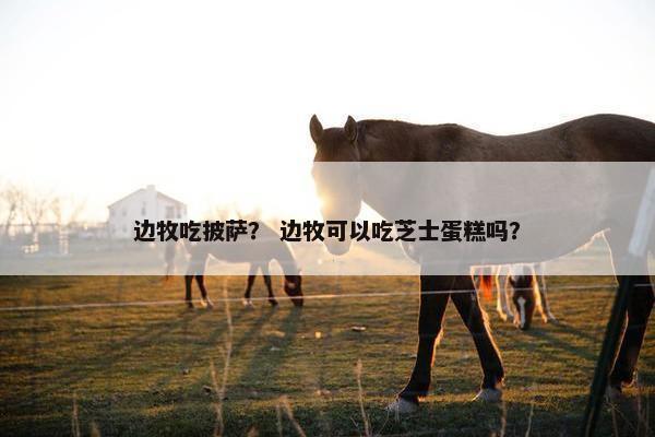边牧吃披萨？ 边牧可以吃芝士蛋糕吗？