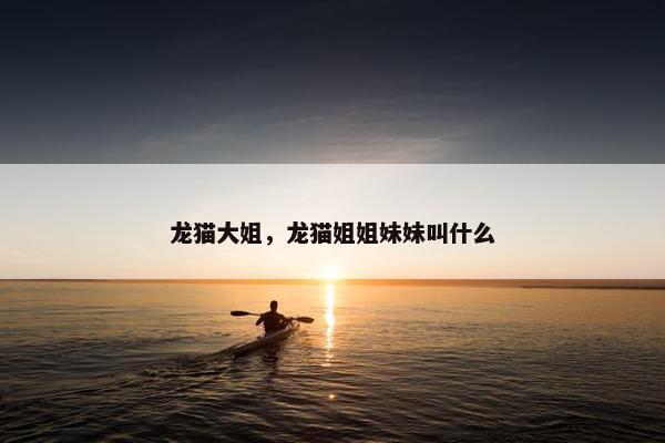 龙猫大姐，龙猫姐姐妹妹叫什么