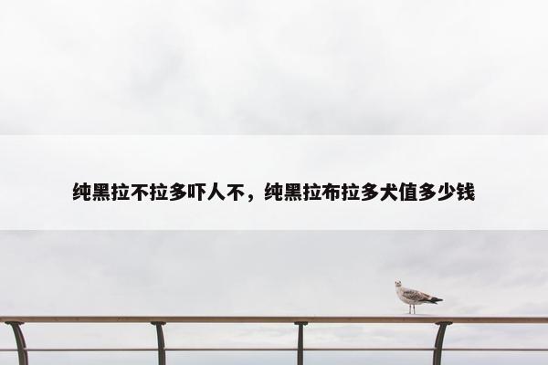 纯黑拉不拉多吓人不，纯黑拉布拉多犬值多少钱