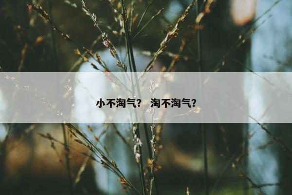 小不淘气？ 淘不淘气？
