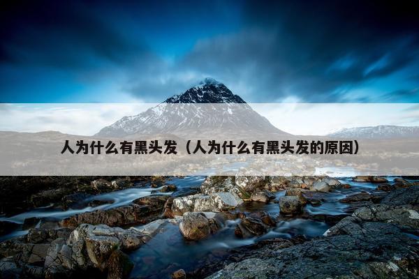 人为什么有黑头发（人为什么有黑头发的原因）