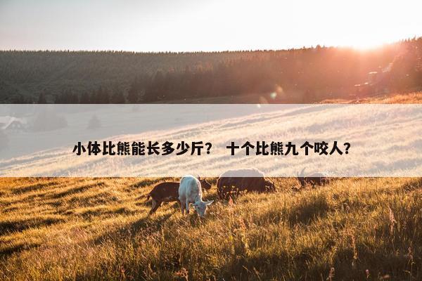 小体比熊能长多少斤？ 十个比熊九个咬人？