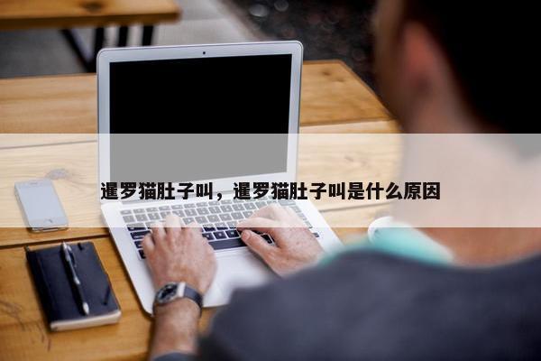 暹罗猫肚子叫，暹罗猫肚子叫是什么原因