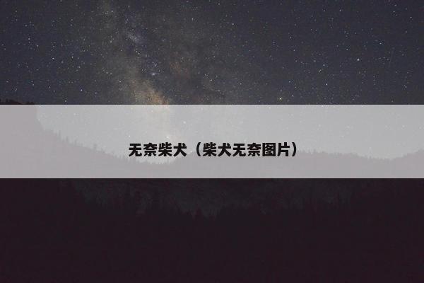 无奈柴犬（柴犬无奈图片）