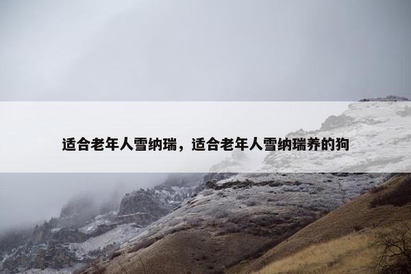 适合老年人雪纳瑞，适合老年人雪纳瑞养的狗