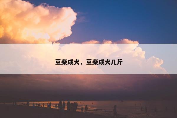 豆柴成犬，豆柴成犬几斤
