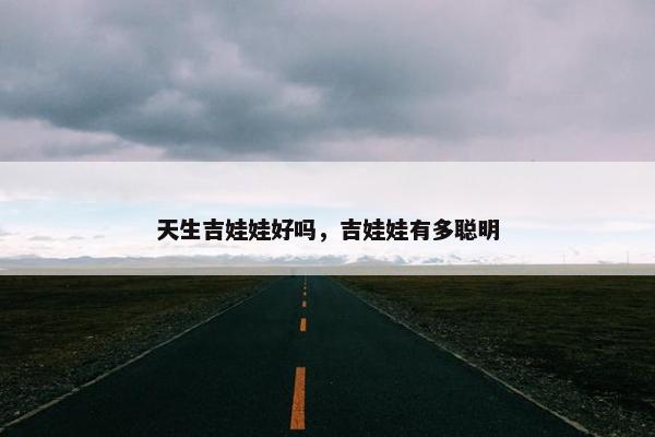 天生吉娃娃好吗，吉娃娃有多聪明