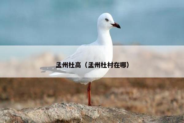 孟州杜高（孟州杜村在哪）