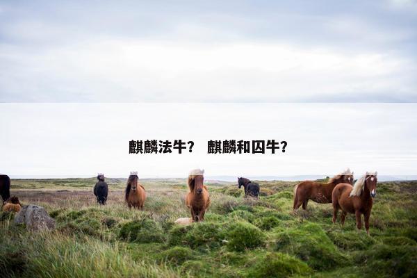 麒麟法牛？ 麒麟和囚牛？