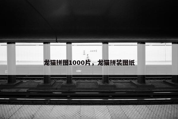 龙猫拼图1000片，龙猫拼装图纸