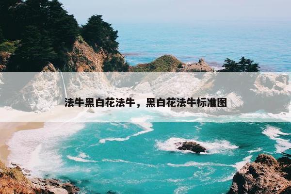法牛黑白花法牛，黑白花法牛标准图