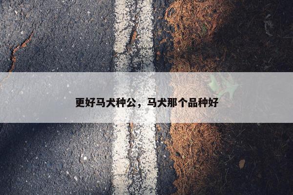 更好马犬种公，马犬那个品种好