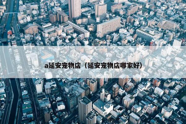 a延安宠物店（延安宠物店哪家好）