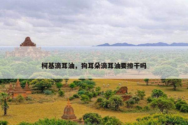 柯基滴耳油，狗耳朵滴耳油要擦干吗