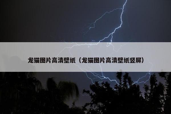 龙猫图片高清壁纸（龙猫图片高清壁纸竖屏）