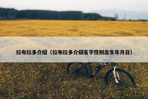 拉布拉多介绍（拉布拉多介绍名字性别出生年月日）