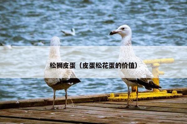 松狮皮蛋（皮蛋松花蛋的价值）