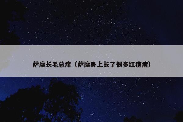 萨摩长毛总痒（萨摩身上长了很多红痘痘）