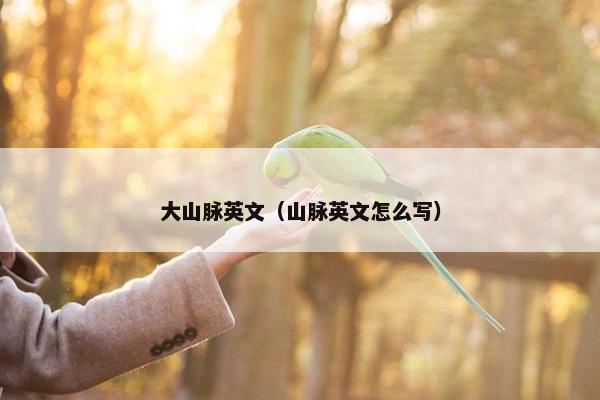 大山脉英文（山脉英文怎么写）