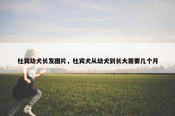 杜宾幼犬长发图片，杜宾犬从幼犬到长大需要几个月