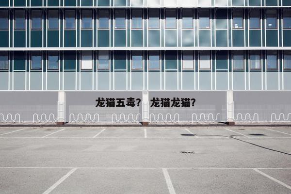 龙猫五毒？ 龙猫龙猫？