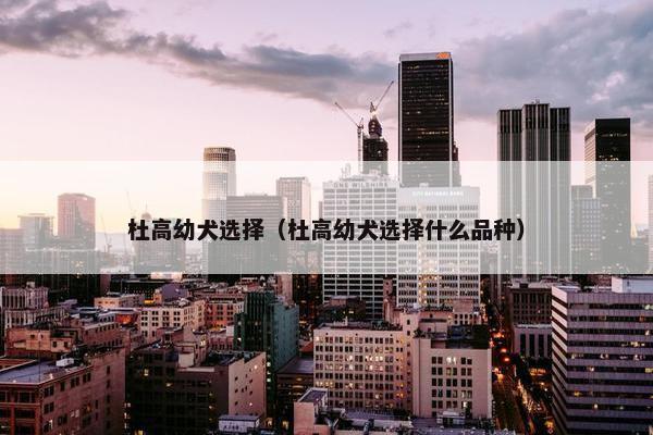 杜高幼犬选择（杜高幼犬选择什么品种）
