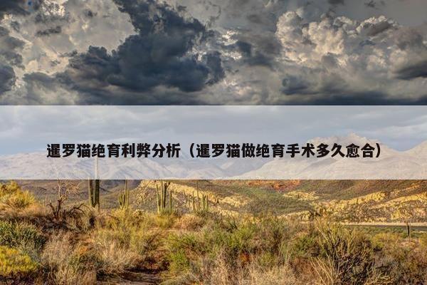 暹罗猫绝育利弊分析（暹罗猫做绝育手术多久愈合）