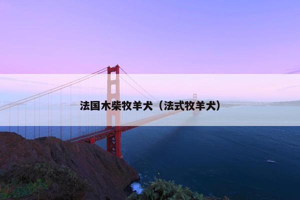 法国木柴牧羊犬（法式牧羊犬）