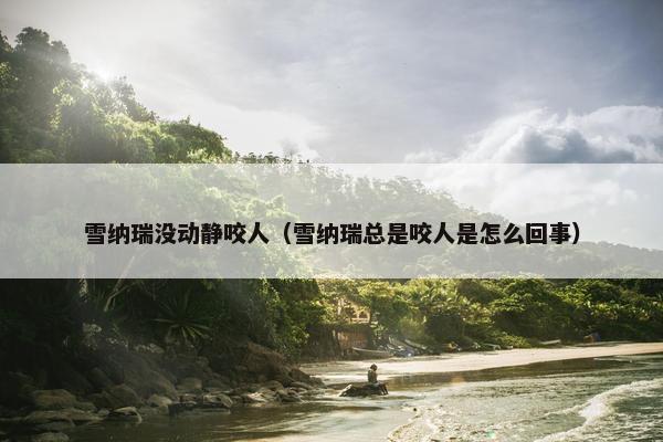 雪纳瑞没动静咬人（雪纳瑞总是咬人是怎么回事）