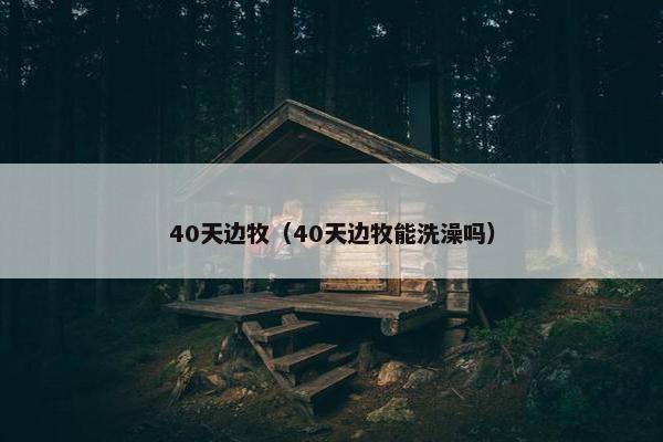 40天边牧（40天边牧能洗澡吗）