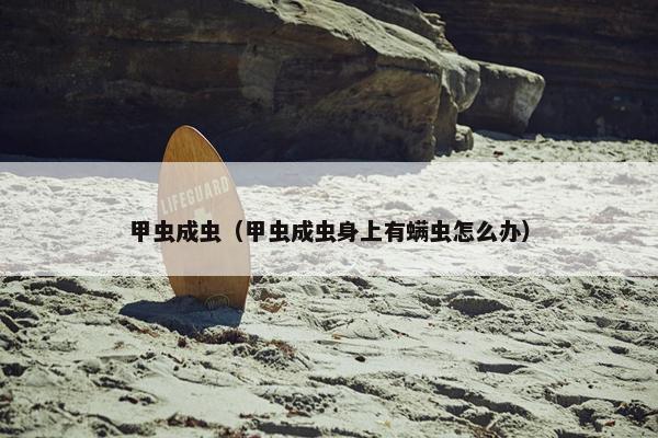 甲虫成虫（甲虫成虫身上有螨虫怎么办）