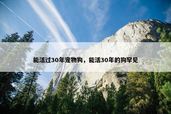 能活过30年宠物狗，能活30年的狗罕见