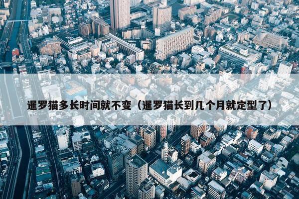 暹罗猫多长时间就不变（暹罗猫长到几个月就定型了）